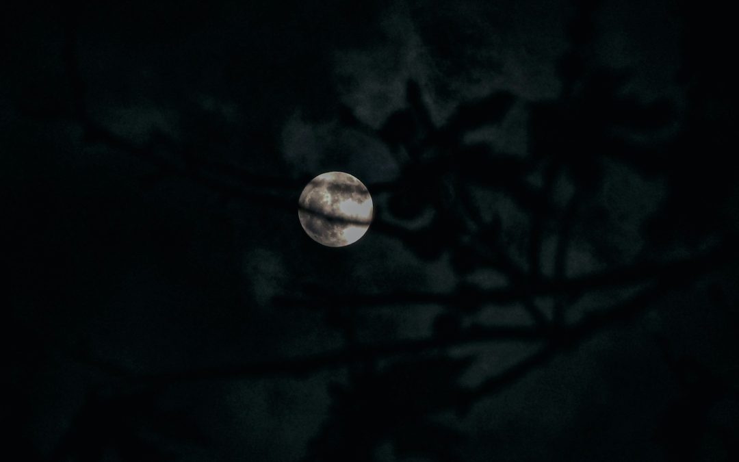 Feel Your Hair Stand at These Haunted Hotels: New Orleans