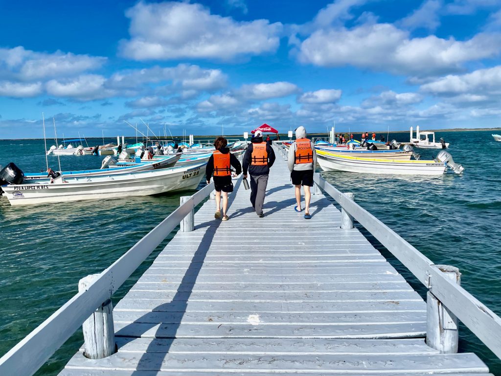 three males on pier with panga boats on each side