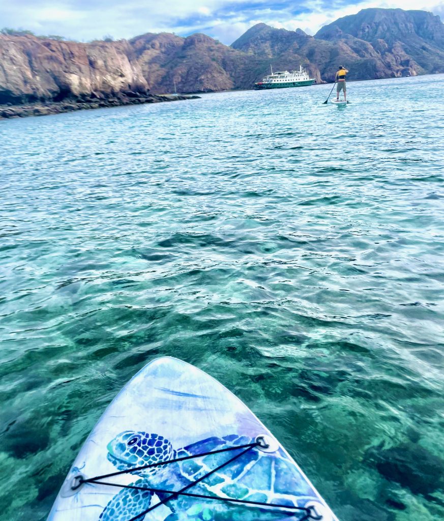 SUP in water with cruise ship in background