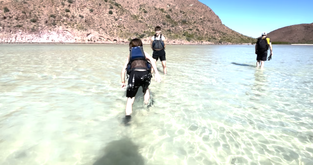 Two boys about the fight in light green ocean water