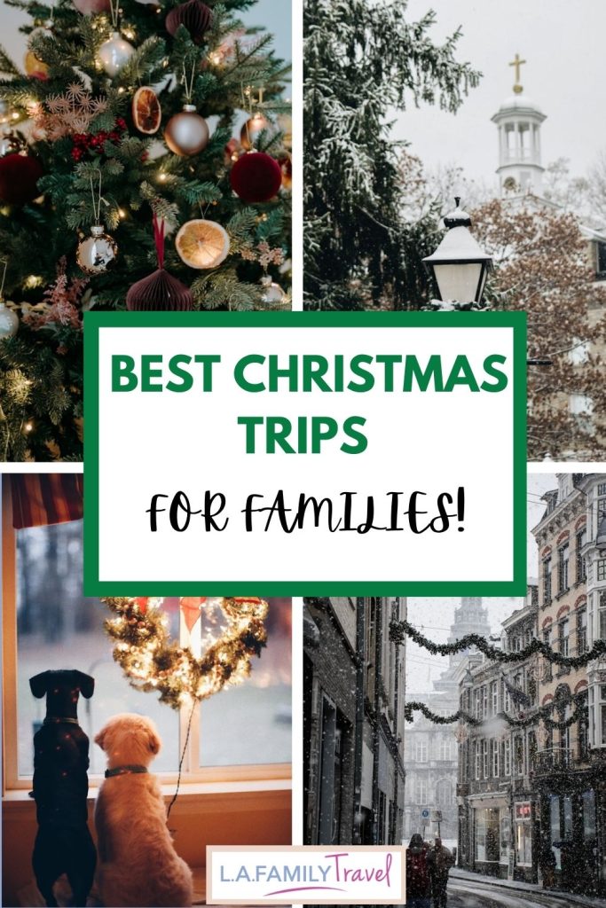 Festive collage featuring a decorated Christmas tree, a snowy church scene, two dogs admiring a lit wreath in a cozy window, and a charming snow-covered European street adorned with holiday garlands.