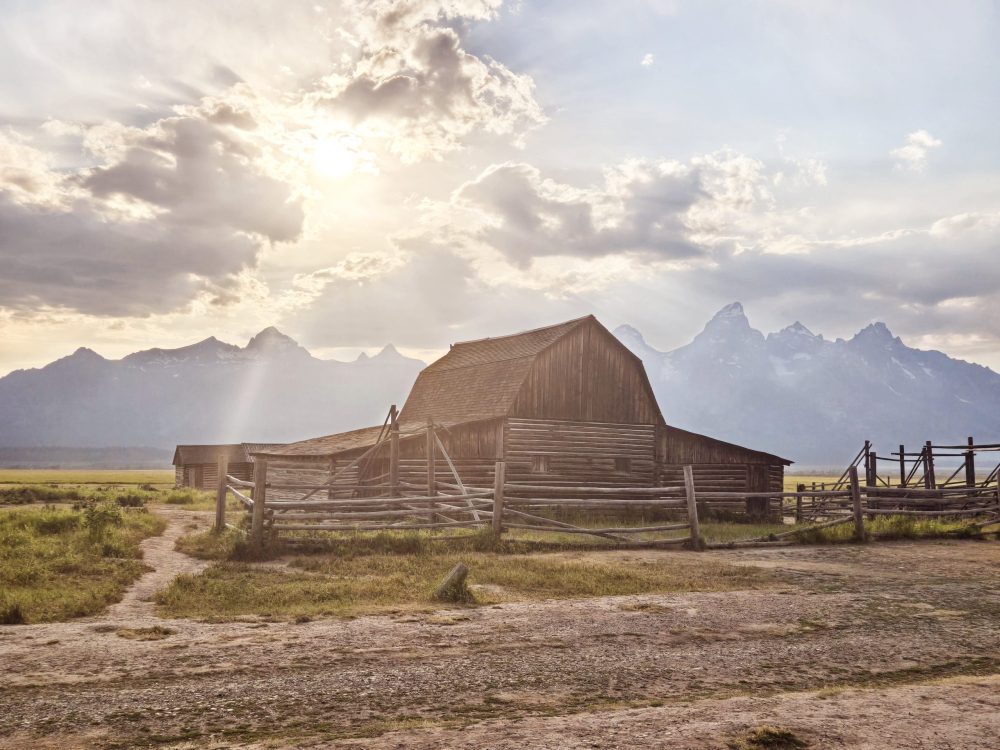 Mormon Row during golden hour lighting.