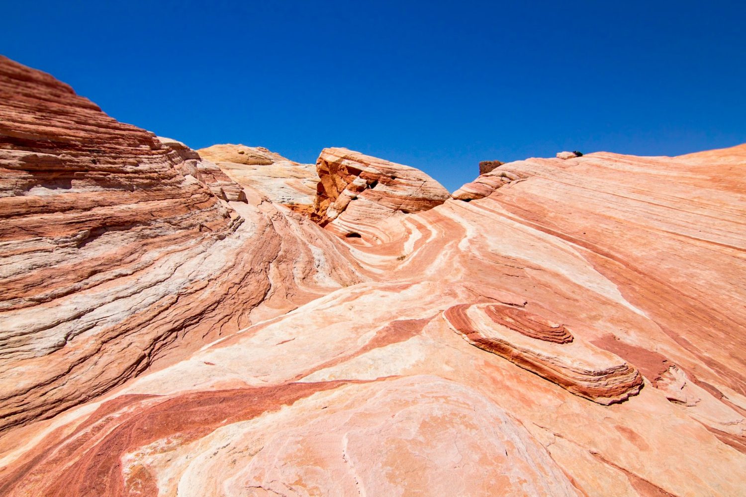 Valley of Fire State Park. best things to in Las Vegas with teens.