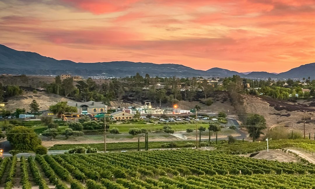 Ultimate Temecula Valley Wine Tasting & Food Pairing Guide For First-Time Visitors