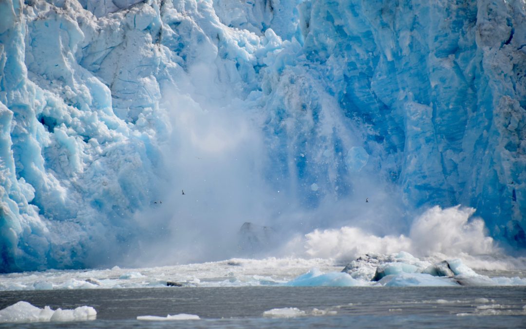 3 Epic Sales On Family Trips!