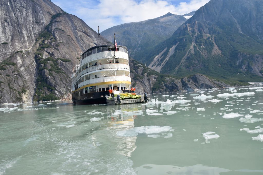 uncruise alaska among floating ice bergs