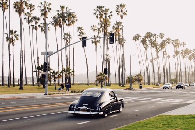 vintage car in driving on street with palm trees separating it and beach