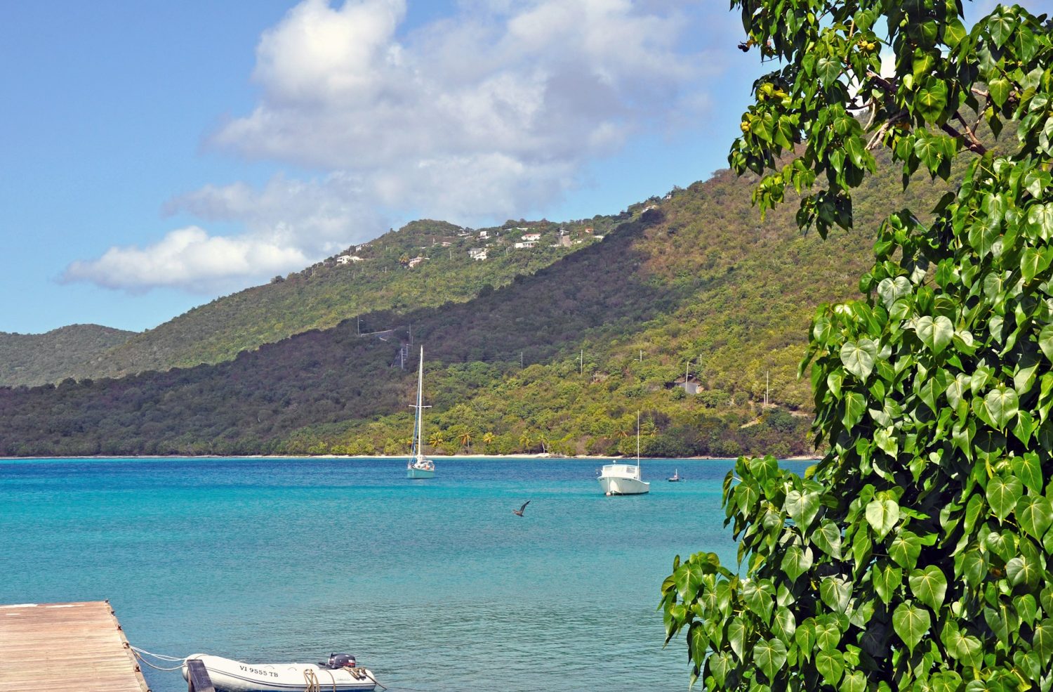 Sailboats in the water near St. Thomas. US Virgin Islands family resorts.