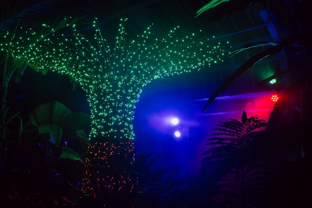 green twinkly lights on tree at night