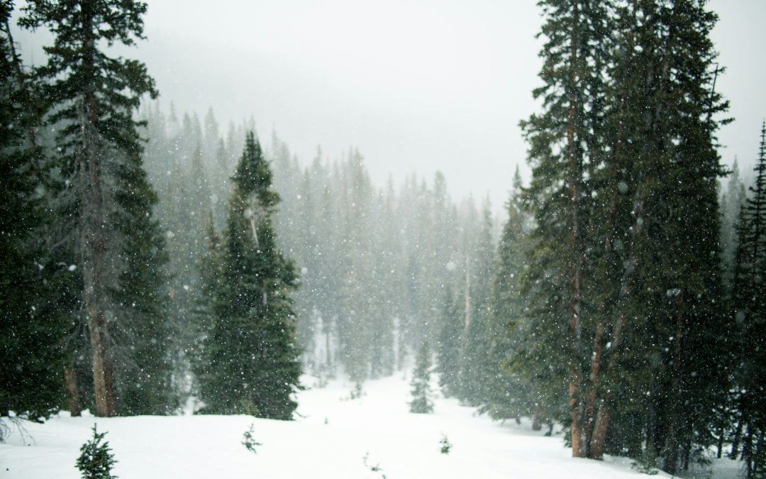 Things To Do in Poconos With Kids On A Winter Family Vacation!