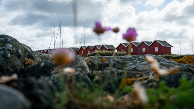 a row of little red houses