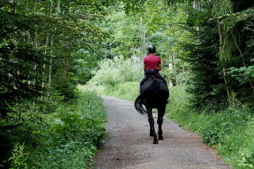 Man riding horse through the woods. Hocking Hills romantic getaways.
