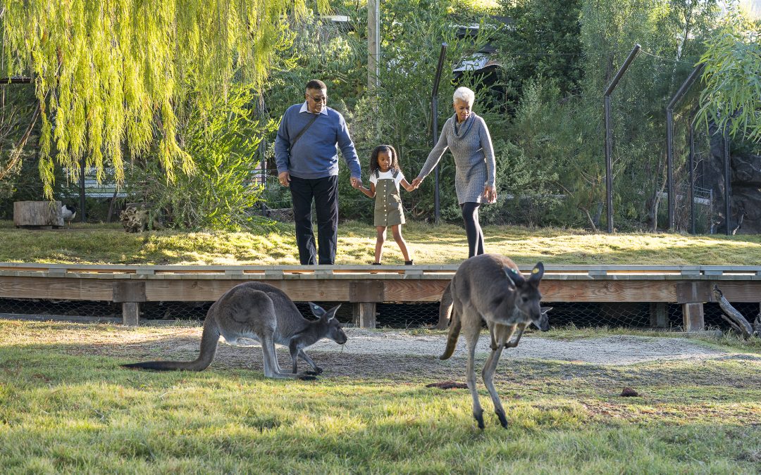 SoCal On A Shoestring: Three Family Adventures That Won’t Break the Bank