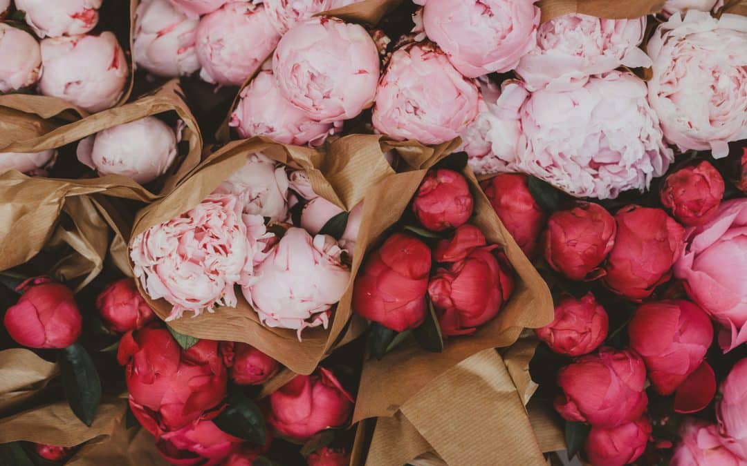 A Girlfriend’s Guide to the Indiana Peony Festival