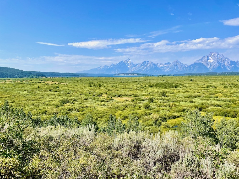 prairie and mountain range
