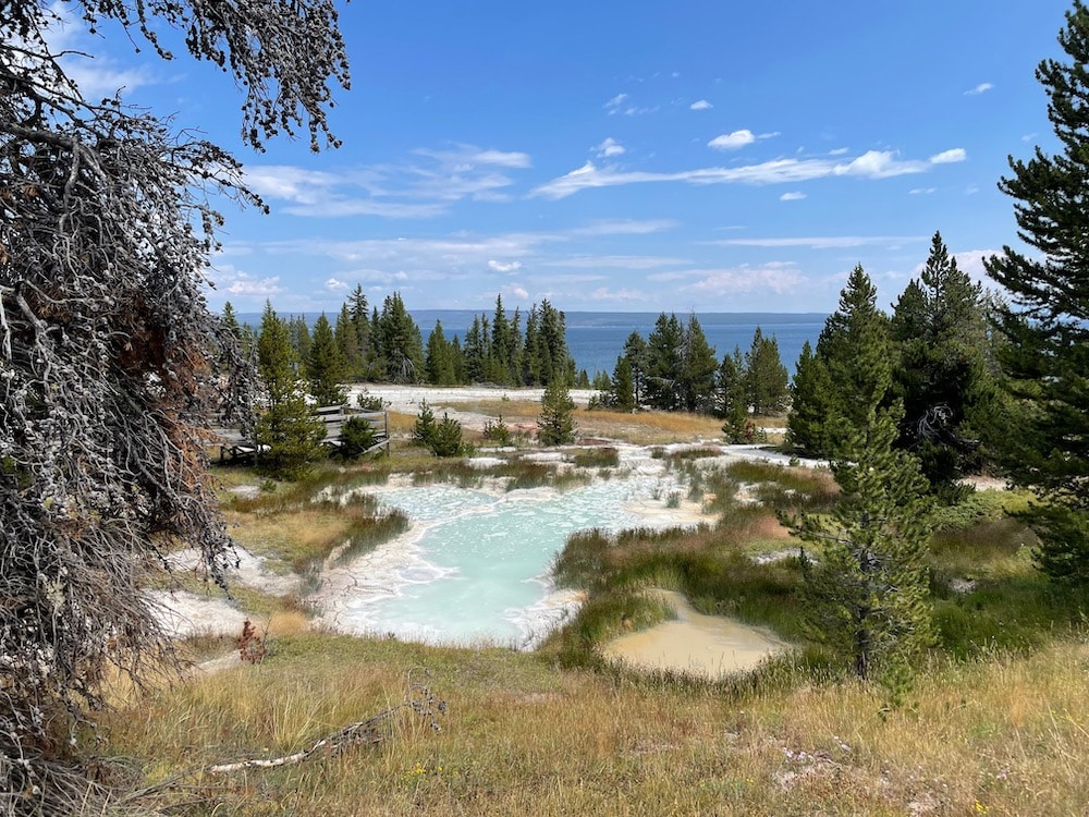blue pools with surrounding forest