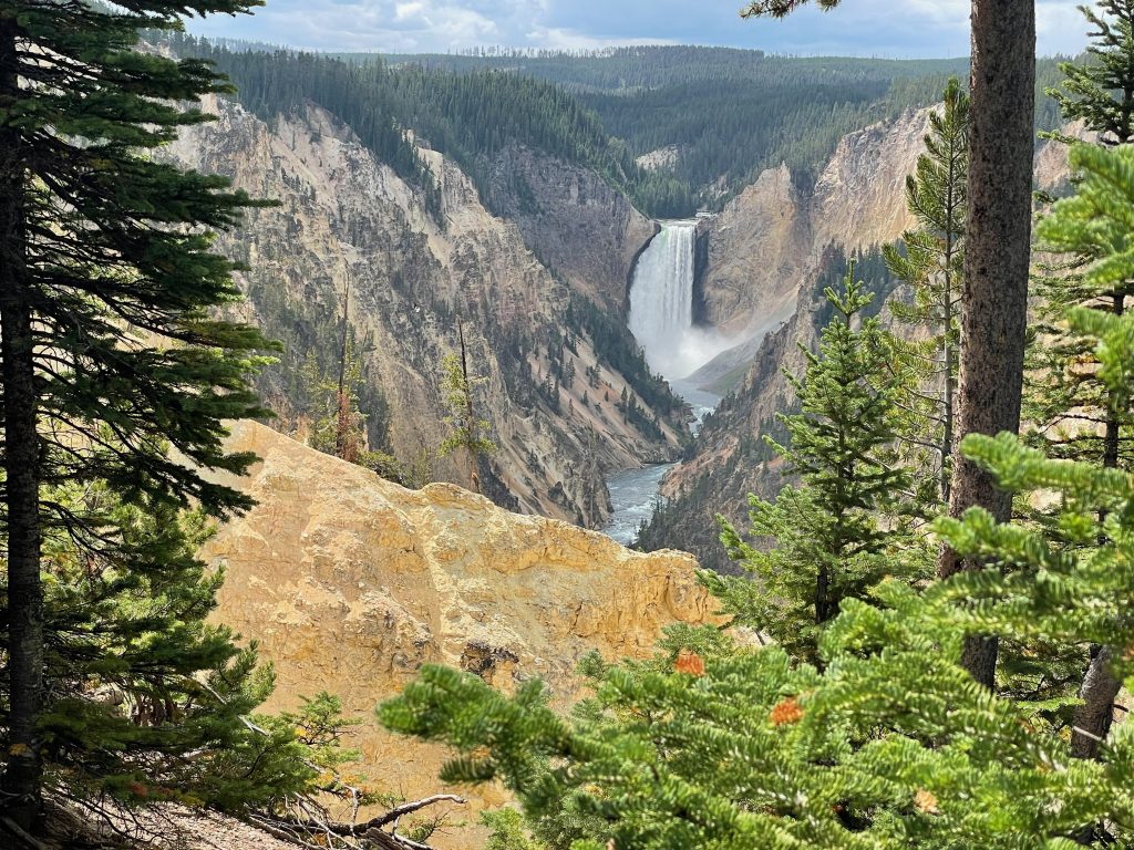grand canyon of yellowstone