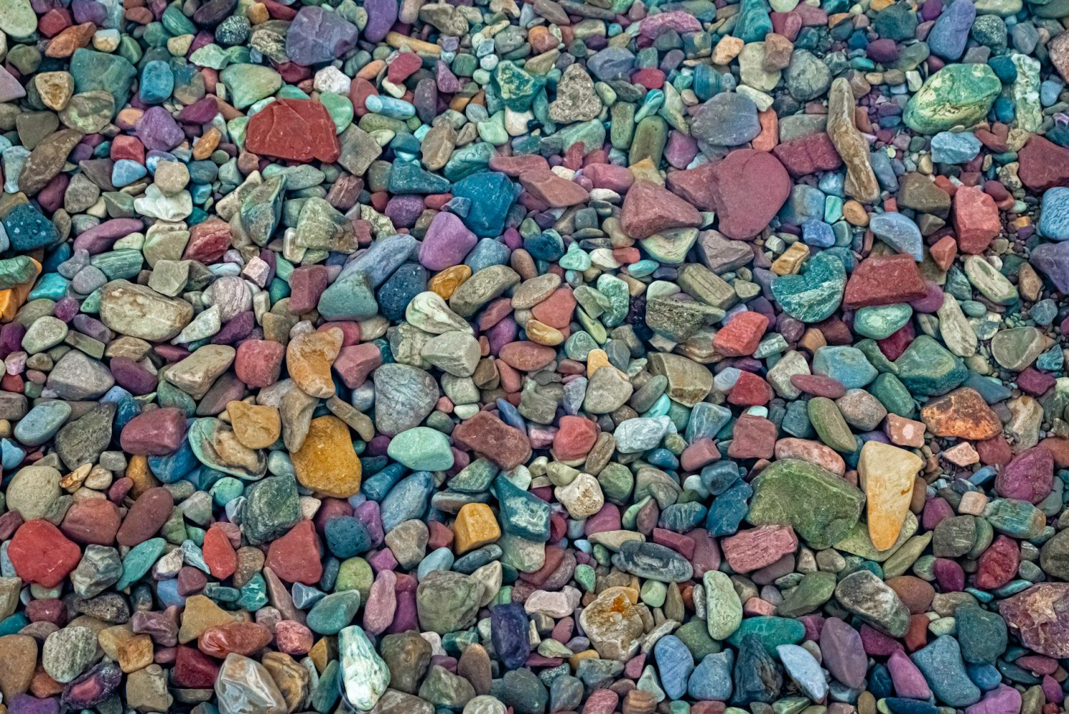 Colorful rocks at the bottom of Lake McDonald. Things to do in Glacier National Park Montana.