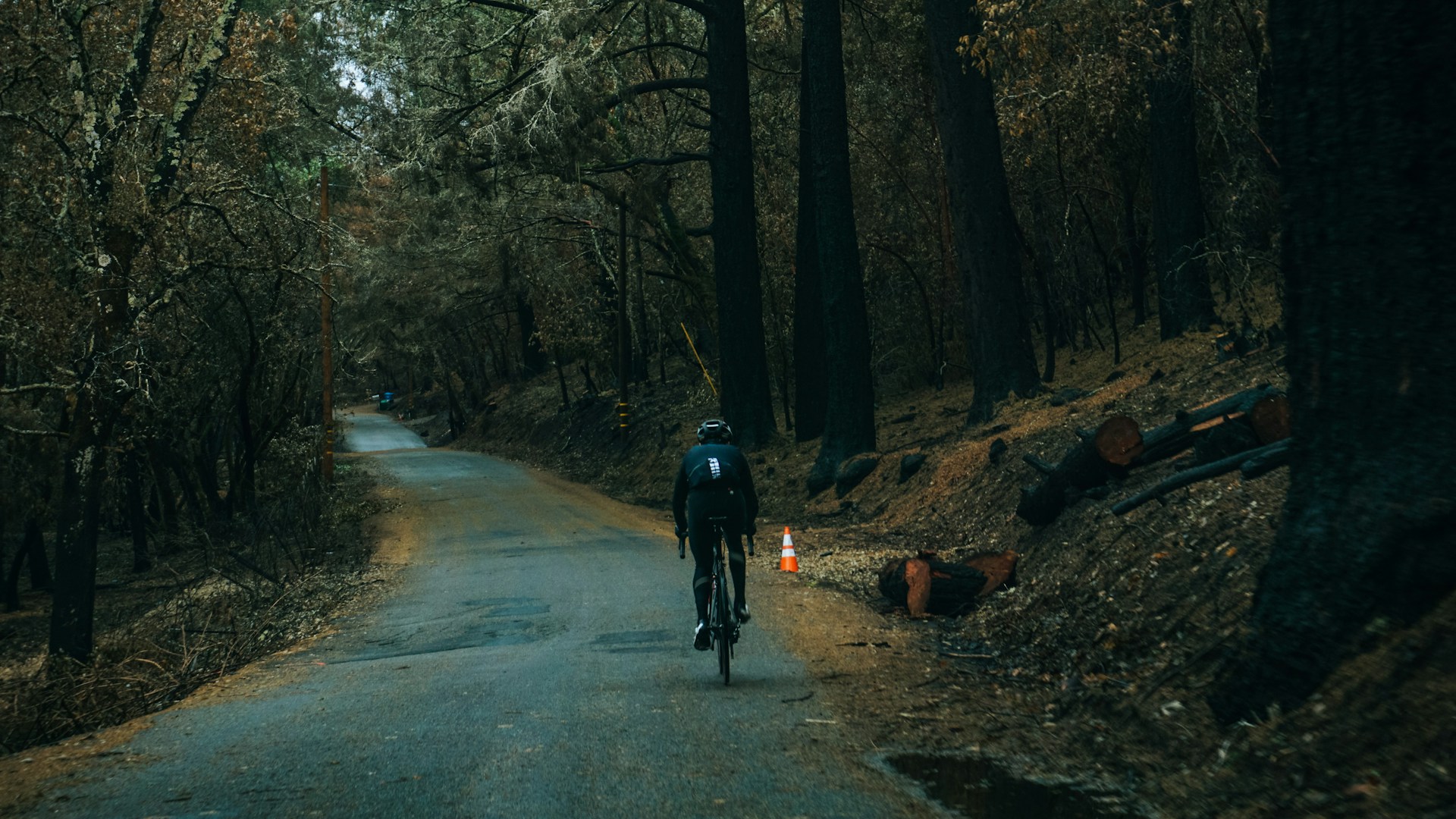 Man biking through the woods on a paved path. Things to do in Glacier National Park Montana. 