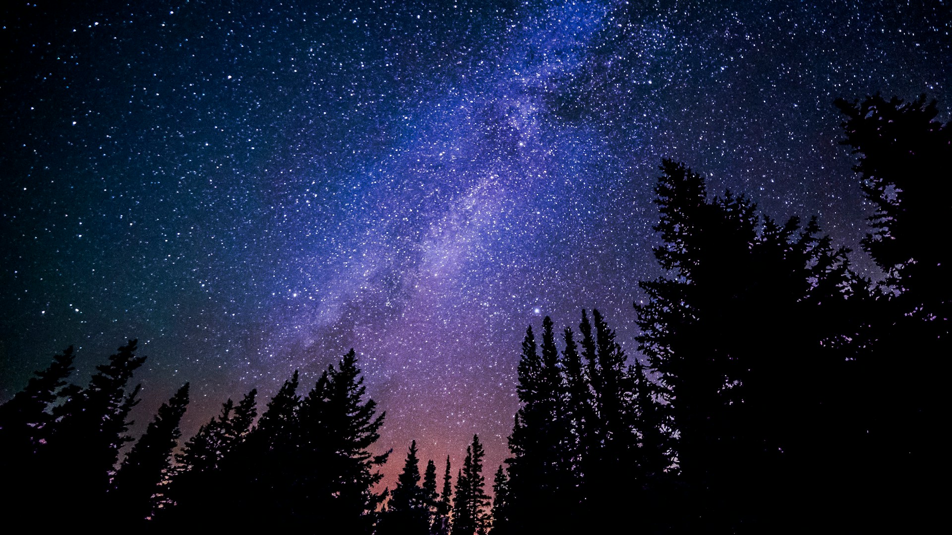 Views of the night sky and Milky Way with trees. Best things to do in Glacier National Park Montana. 