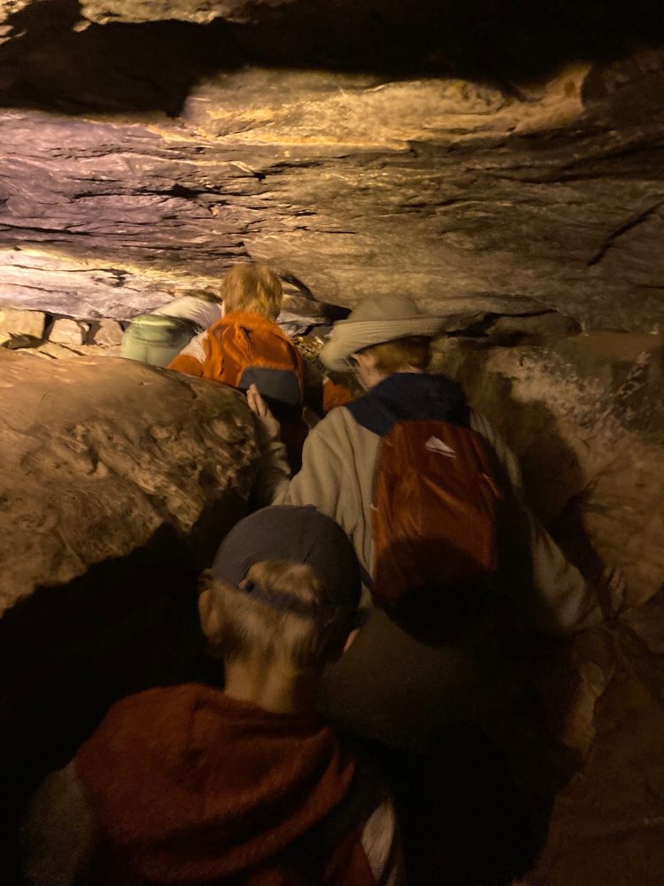 a cave tour in mammoth cave national park