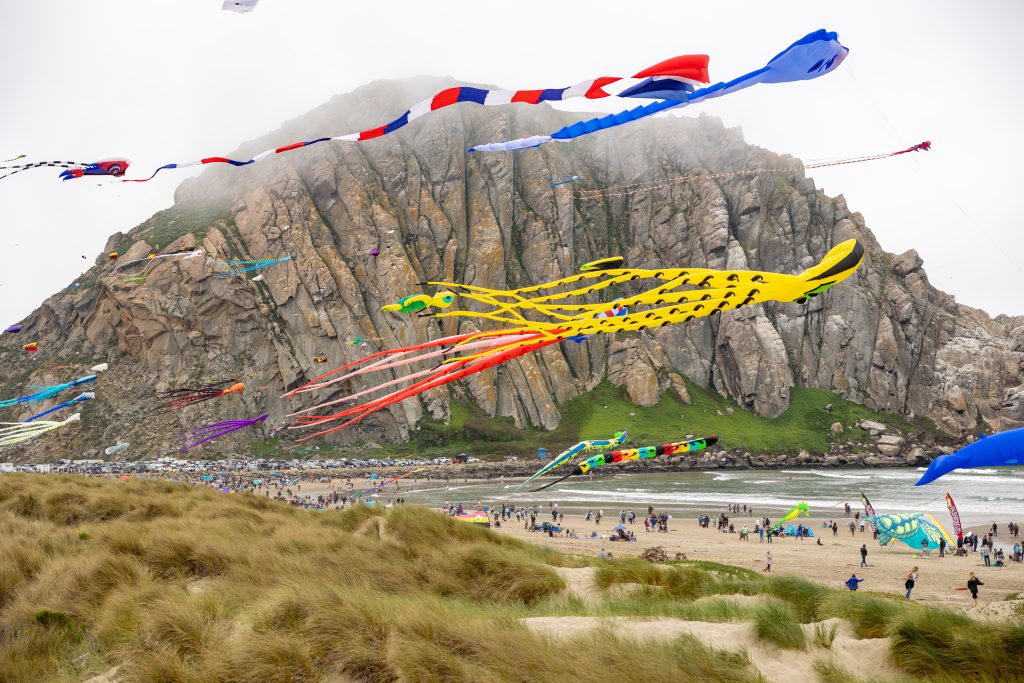kites flying by Morro Rock