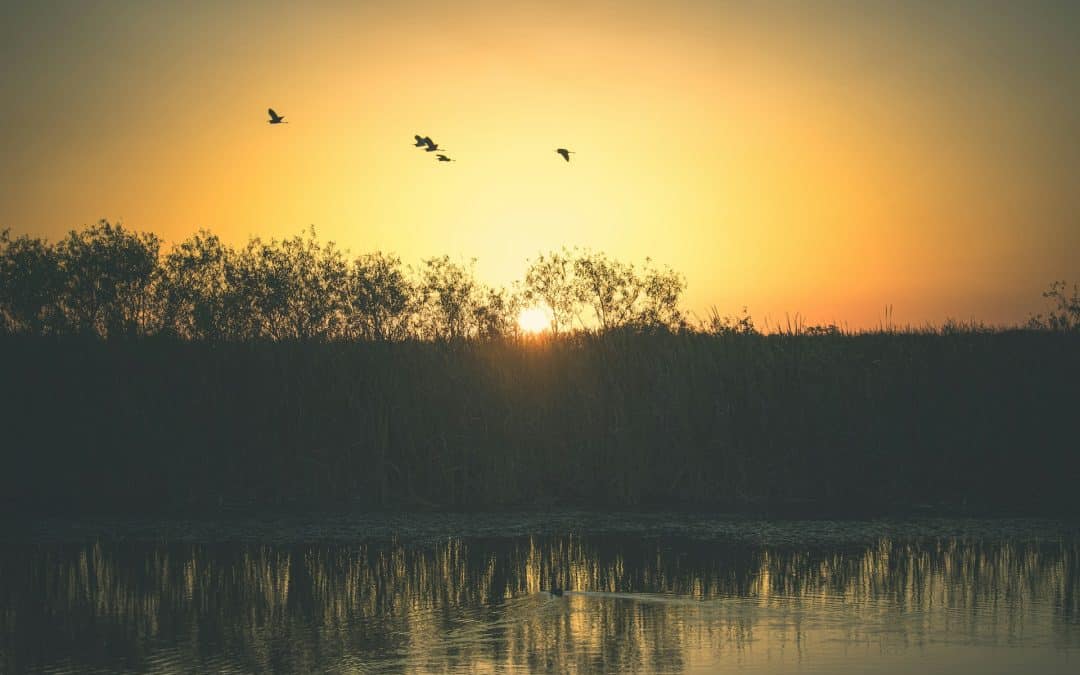 14+ Things to Do in Everglades National Park for a Family Adventure!