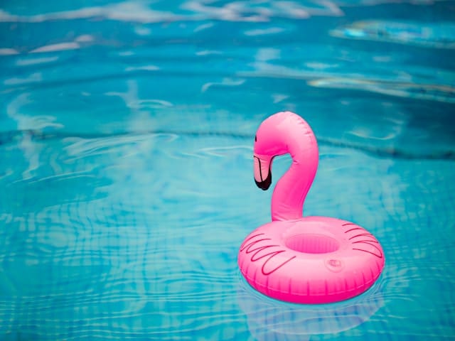 flamingo floatie in pool
