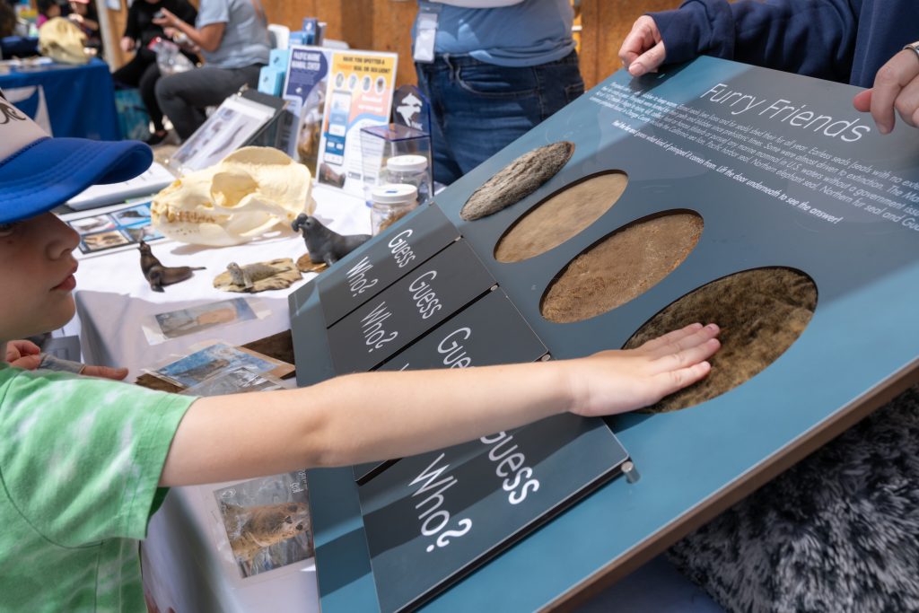 child touching fur samples