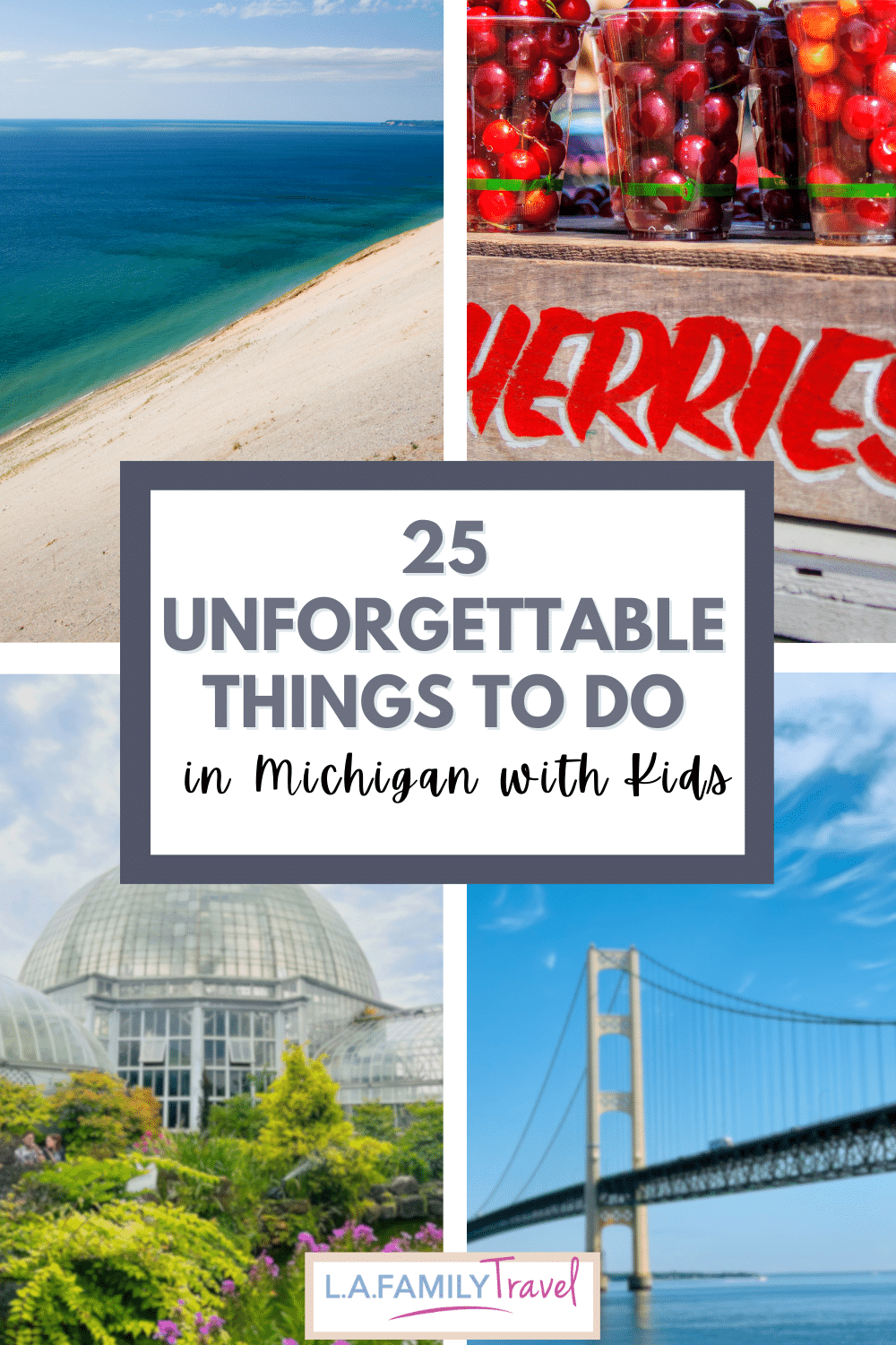 pinterest button for fun things to do in Michigan with kids