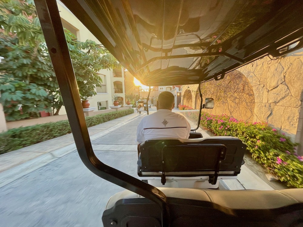 sitting in the back of a golf cart