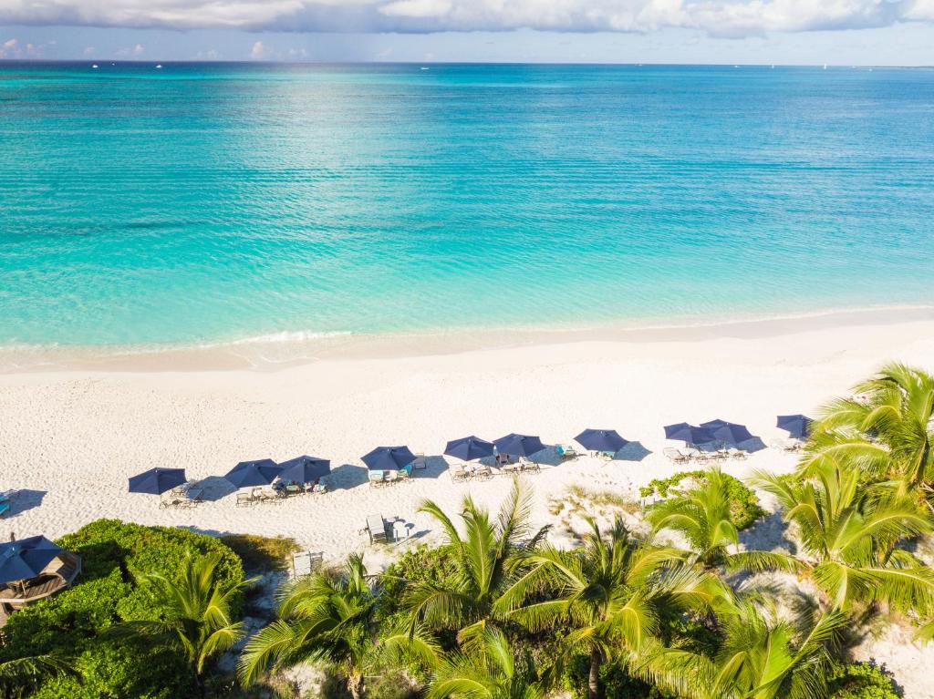 blue water with a line of dark blue chairs