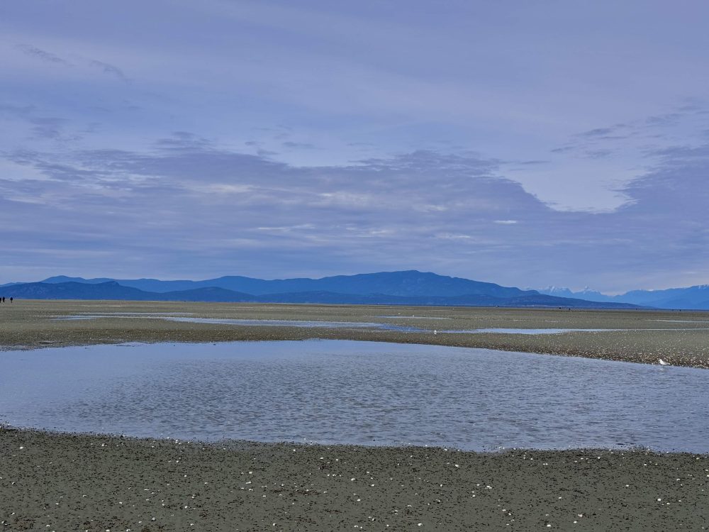 Views of the tides going in and out.