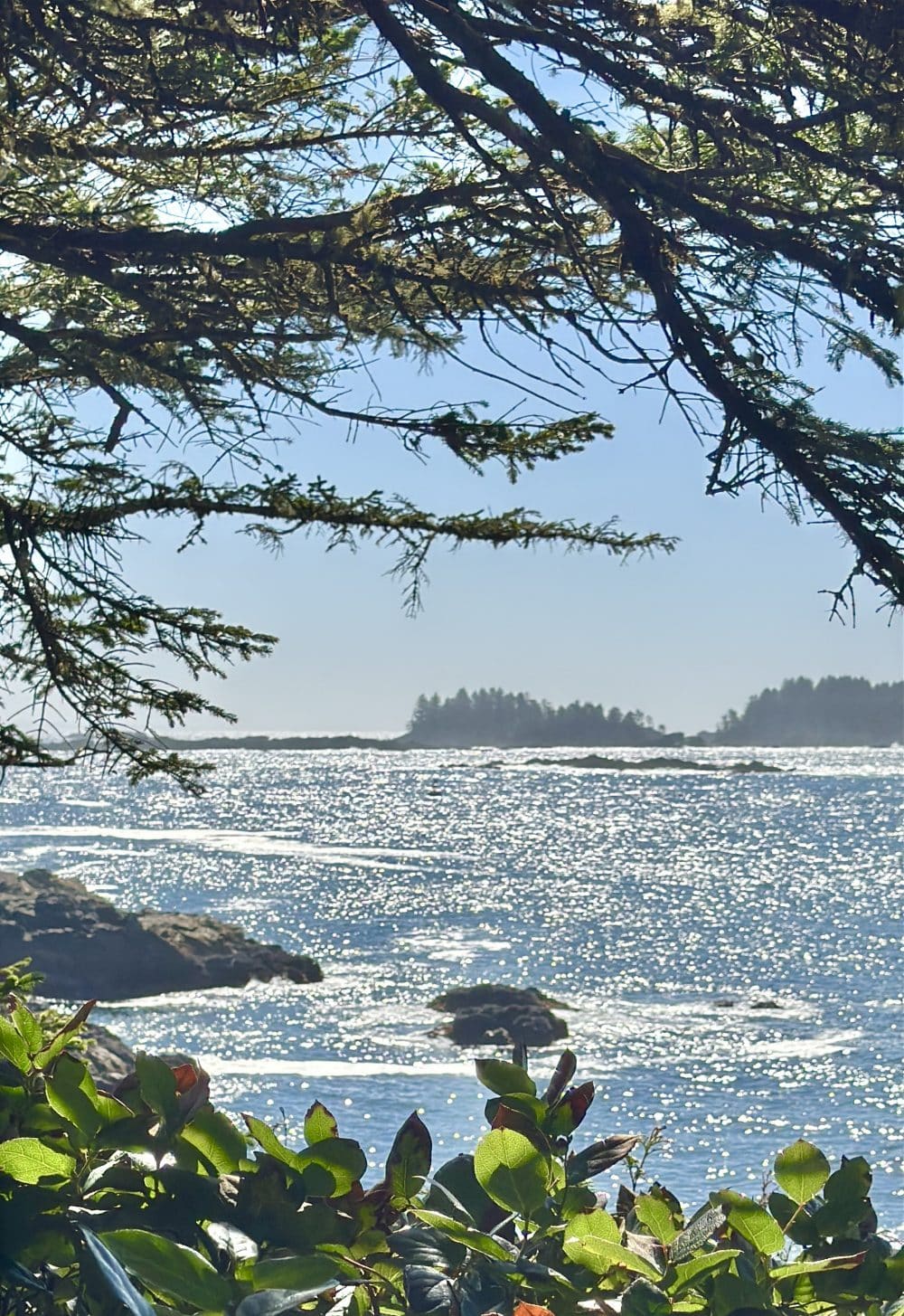 Stunning ocean view in Vancouver Island, BC