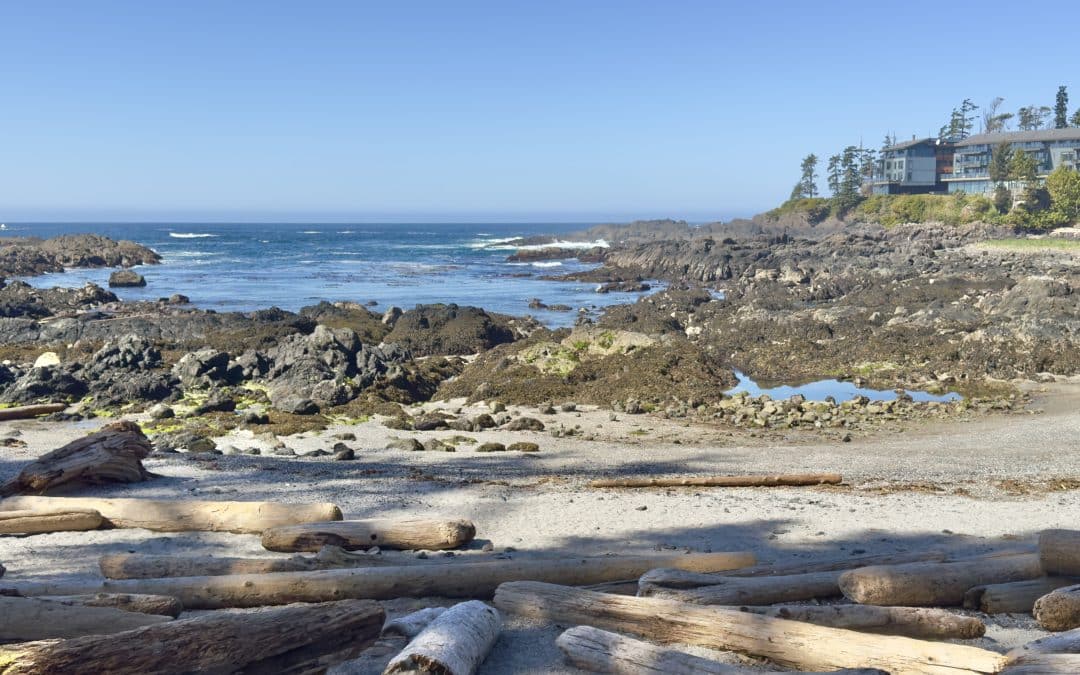 3 Great Places To Stay On Vancouver Island: What To Do and Where To Eat