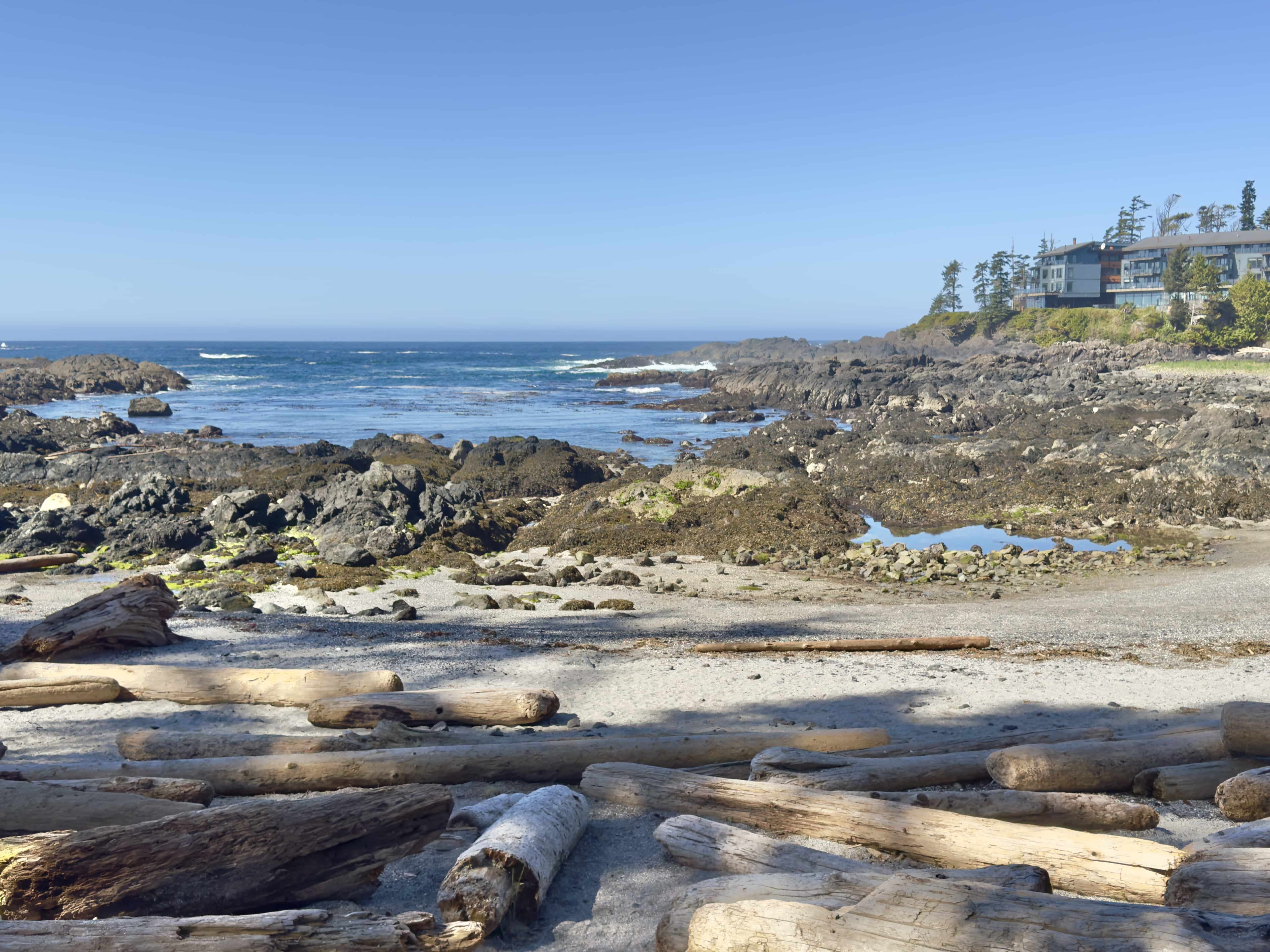 Stunning ocean view in Vancouver Island, BC