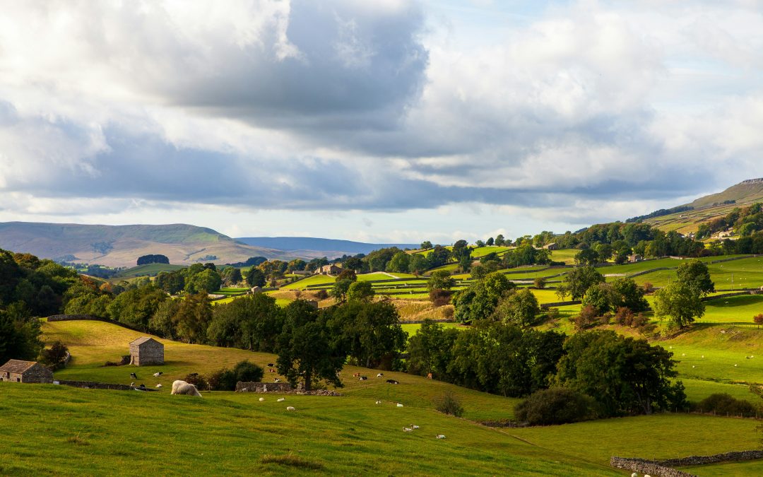 6 Amazing Things to Do with Kids in Hertfordshire: Family Fun Adventures Await