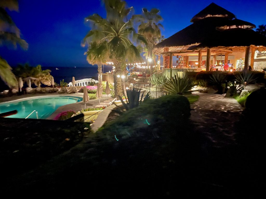 Pitahayas at night at Hacienda del Mar