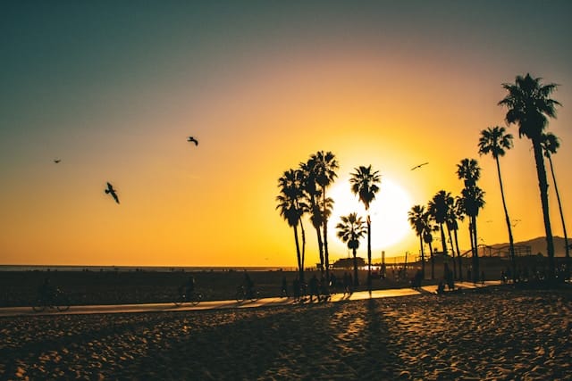 Wallet-Friendly Family Adventures: Top Travel Steals