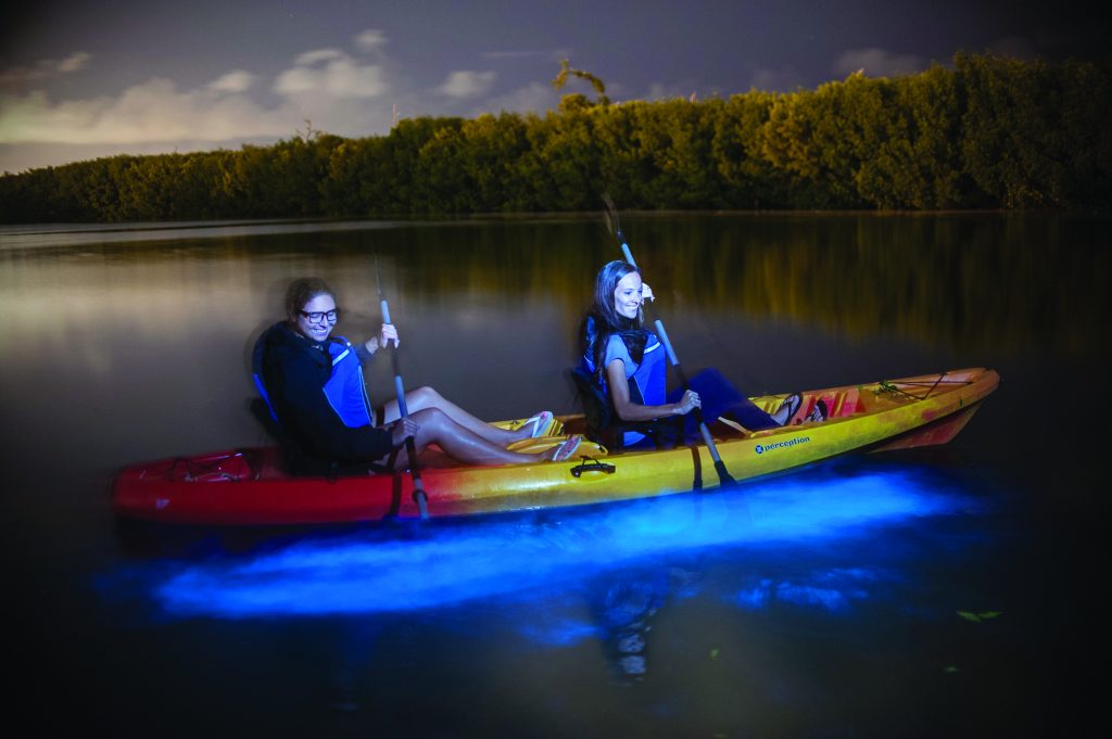 two people kayaking over bioluminescent water