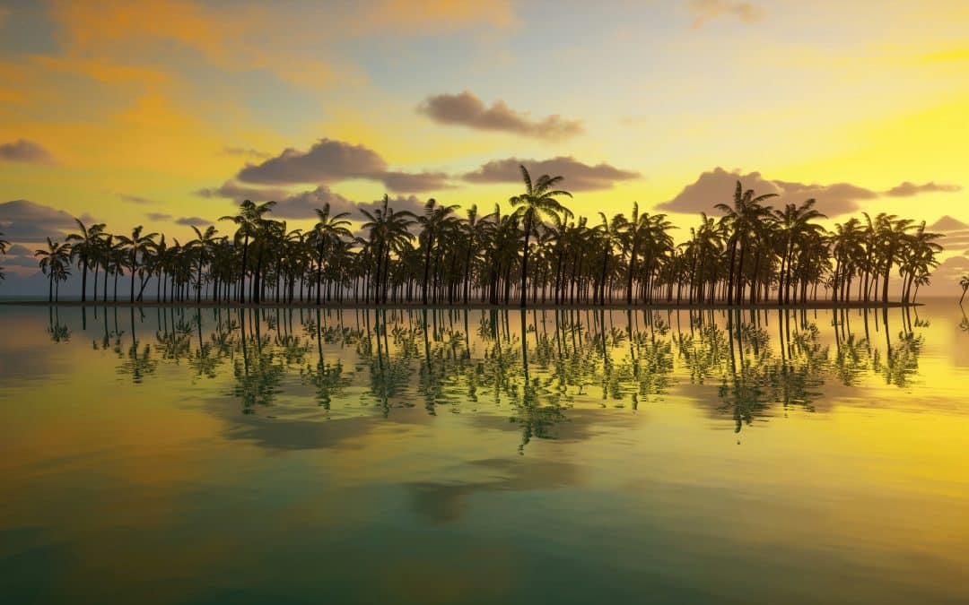 When Family Vacation Deals Actually Make Cents: Your Winter Escape Guide