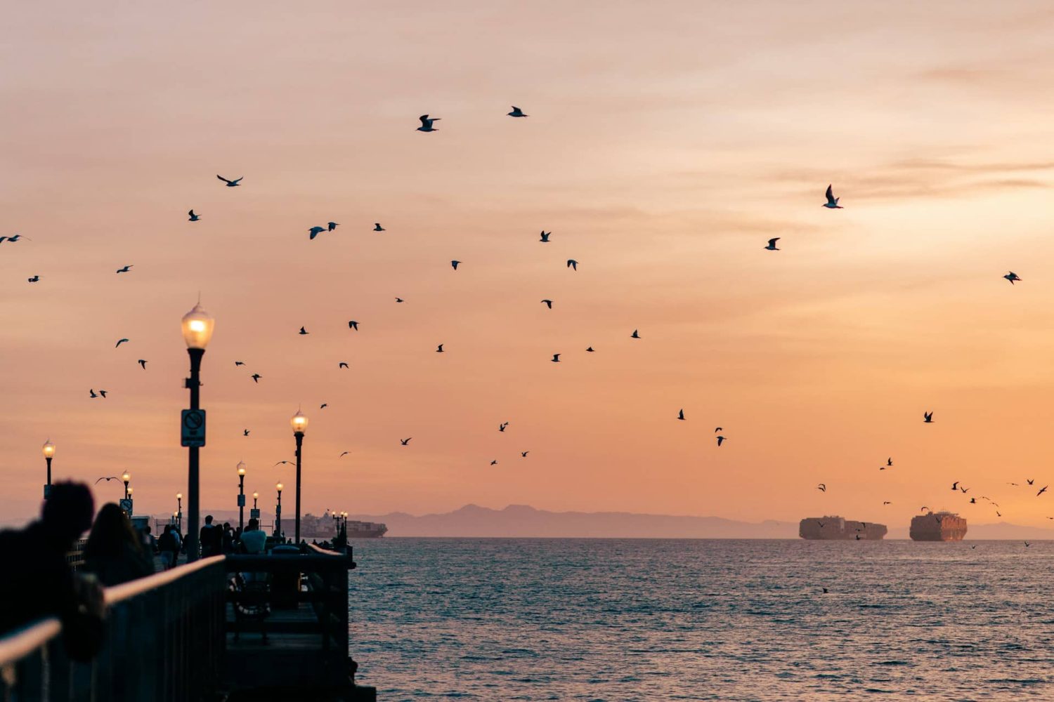 Seal Beach Pier at sunset, crowded with people with birds flying overhead. Best beaches in Orange County.