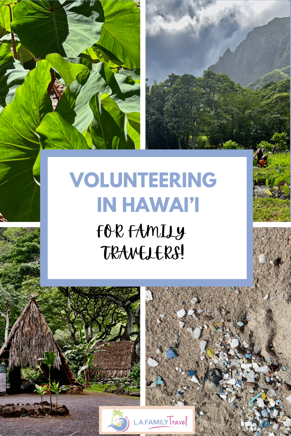 Volunteering in Hawaii