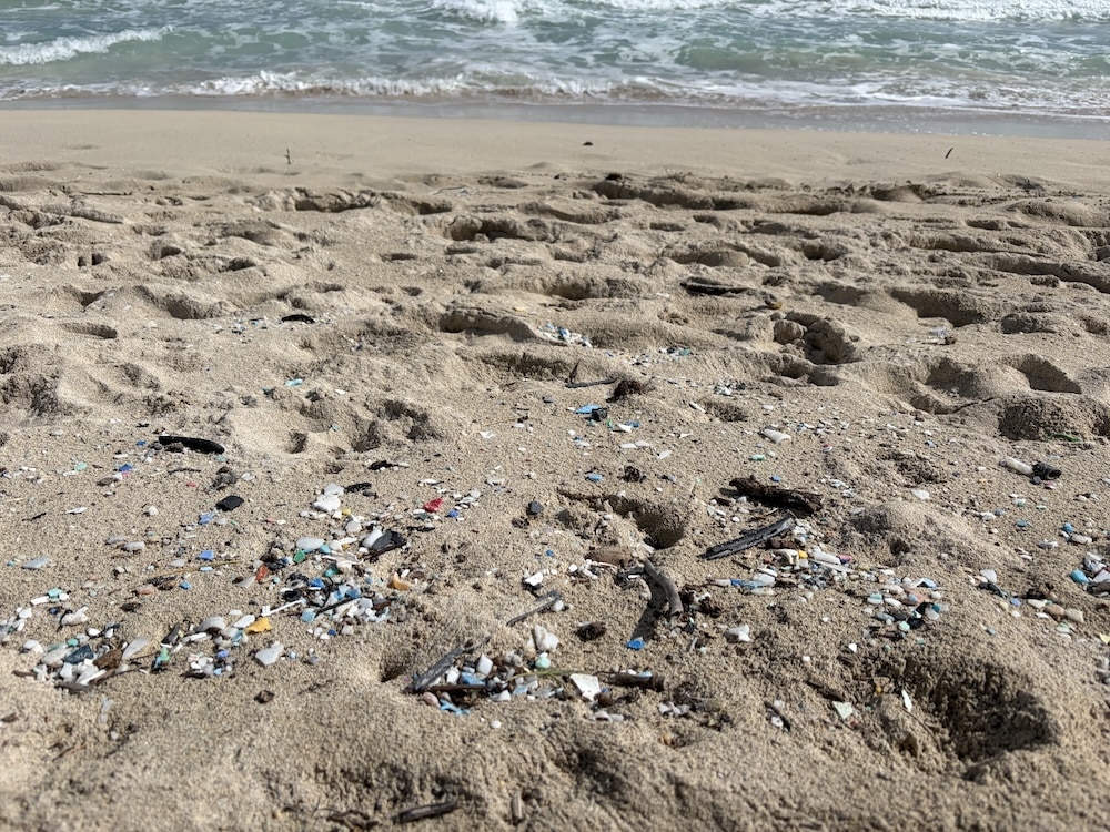 Micro-plastics on the beach - Volunteering in Hawaii