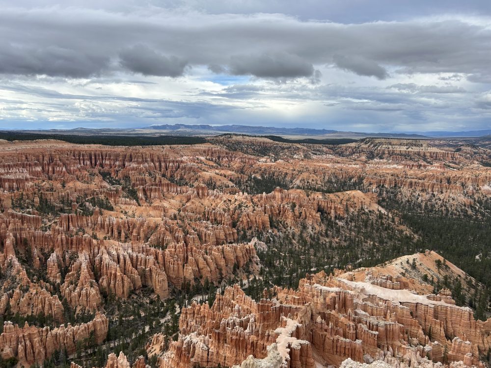 Wide view of the canyon at Bryce Point. Top things to do in Bryce Canyon National Park.