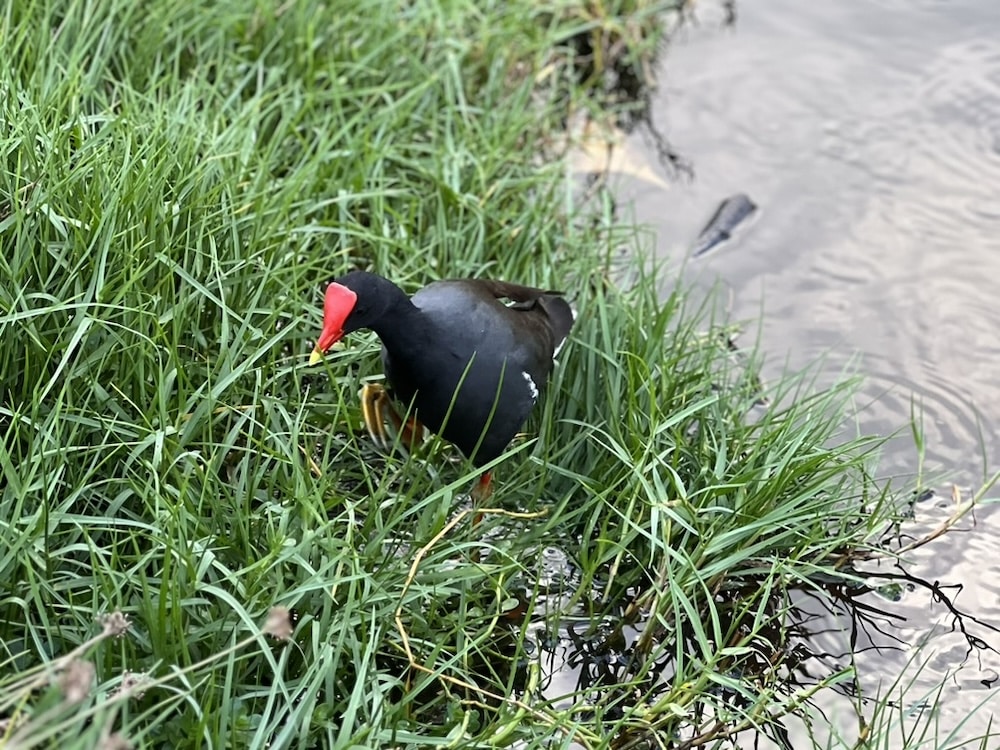 Top 5 Kid-Friendly Hikes on Oʻahu