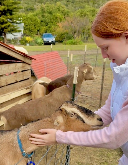 Stepladder Creamery in Cambria. After you meet all the goats, the kids (specifically the human ones) learn how cheese is made, and sample some of the fresh goat-cheese products