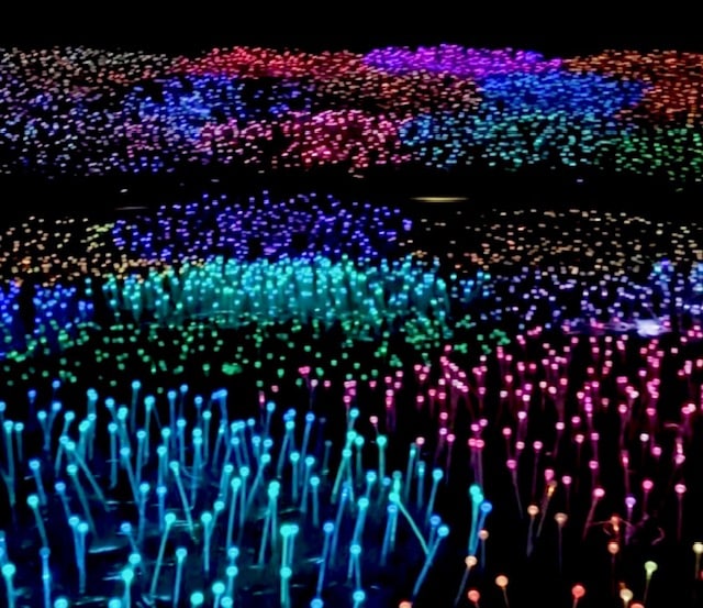 Field of Light at Sensorio by Bruce Munro, where tens of thousands of glowing stems ripple across the hills.