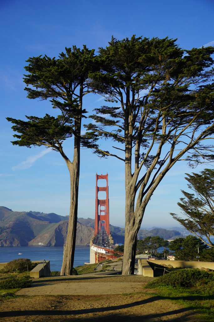 View of the Golden Gate Bridge spanning the San Francisco Bay, with Golden Gate Park in the foreground featuring gardens, playgrounds, and open green spaces.