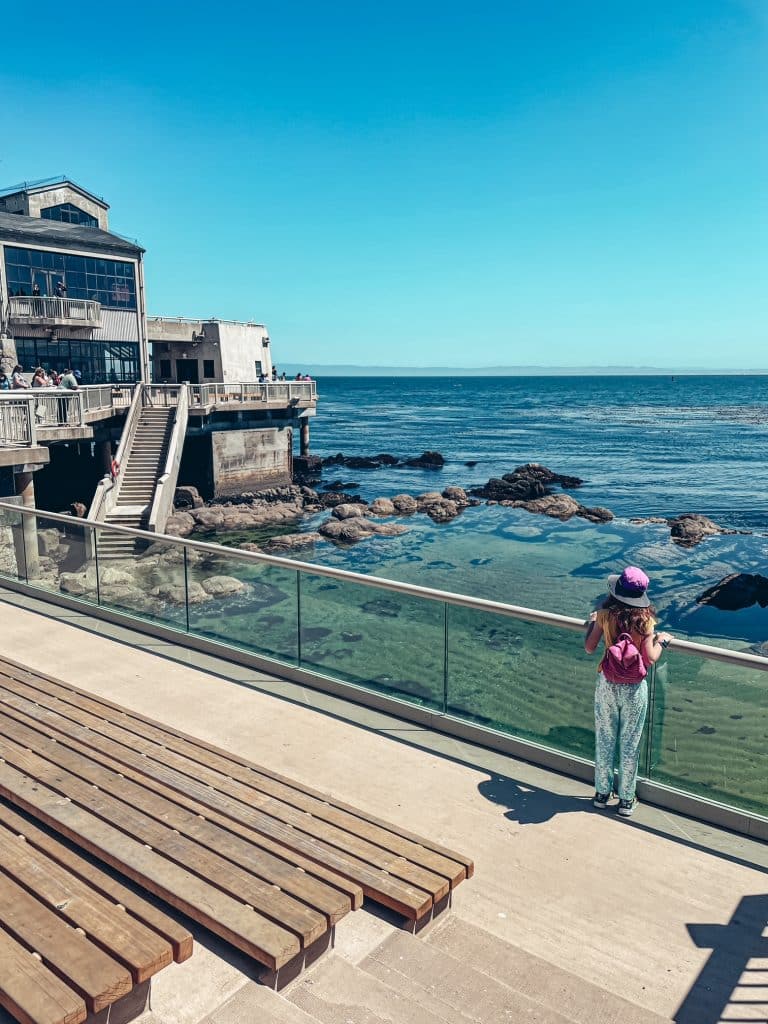 Girl standing outside the Monterey Bay Aquarium, looking at the deep blue sea filled with fish, jellyfish, and marine life.